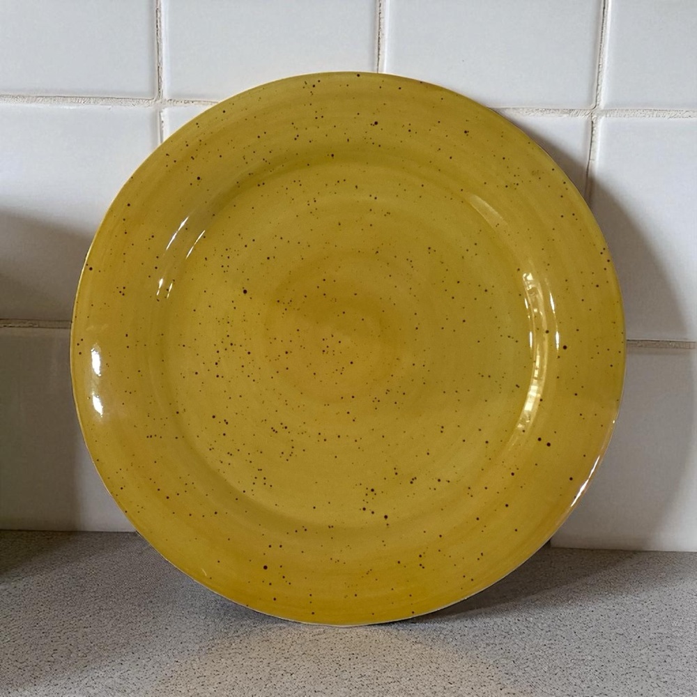 Pfaltzgraff Nuance of Gold Stoneware Charger Size Dinner Plate 11.75 in